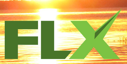 FLX Adventure